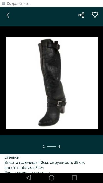 Сапоги, еврозима,  Голландия