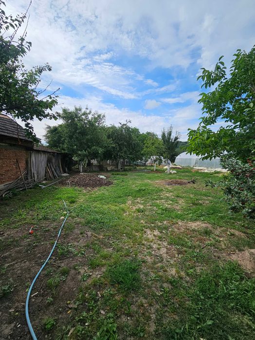 Casă de vânzare cu grădină și curte mare în orașul Lipova, jud.Arad.