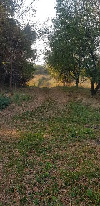 Продава се Парцел в Сапарева баня - 800 кв.м за 24 €/кв.м - Снимка #1