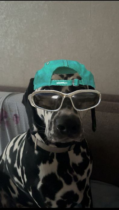 Отдам в хорошие руки