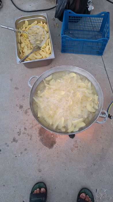 Proțap porc oaie pui.