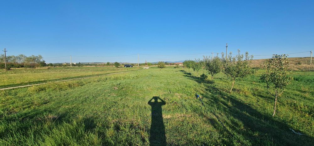 Teren intravilan Lugoj