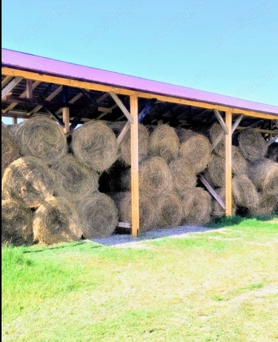 Lucernă 16 Ha in arendă