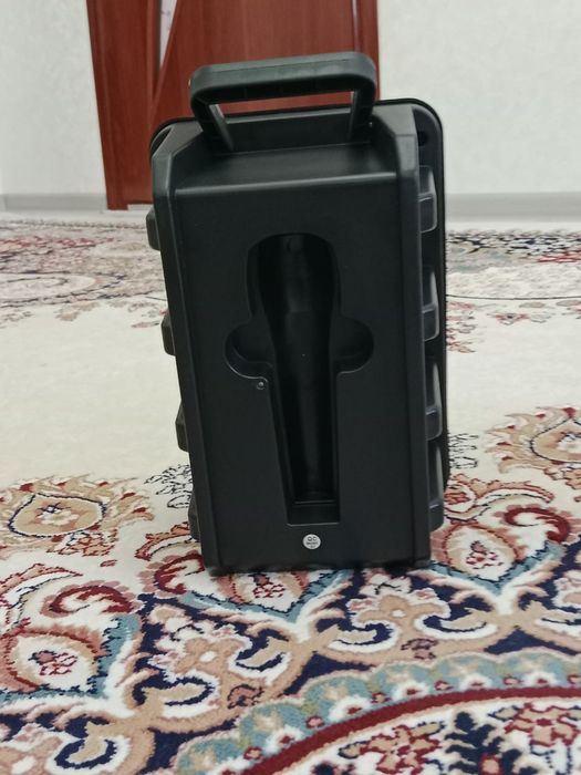 Протативная колонка Sing e.