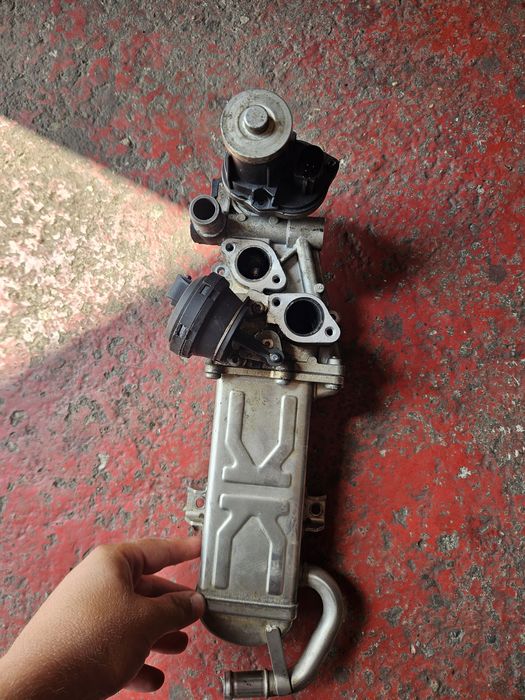 Egr golf 6 1.6 tdi