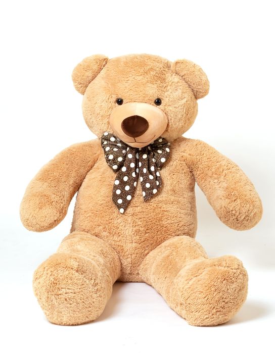 Европейский плюшевый мишка