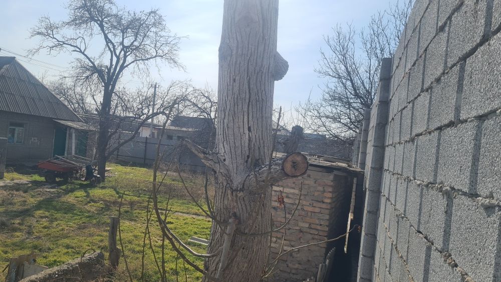 Продам дачу  Кайнар булак