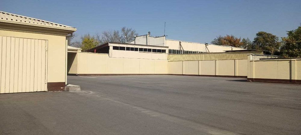 Земельный участок  91 сотка (9 100 кв. м)