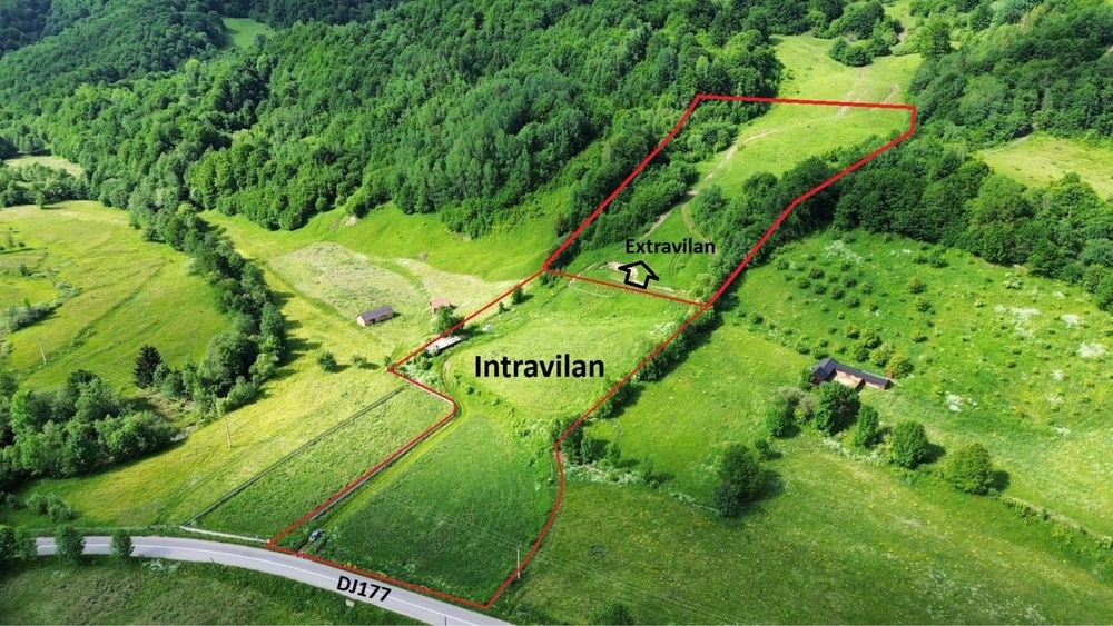 Teren intravilan-extravilan / Manastirea Humorului