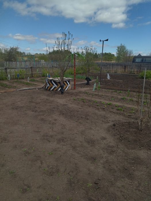 Продам дачу в с/о Вишенка