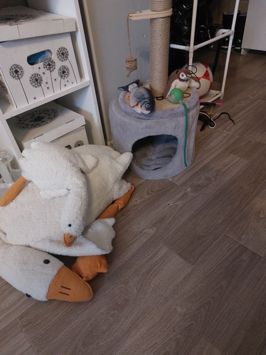 Домик и игрушки для кота