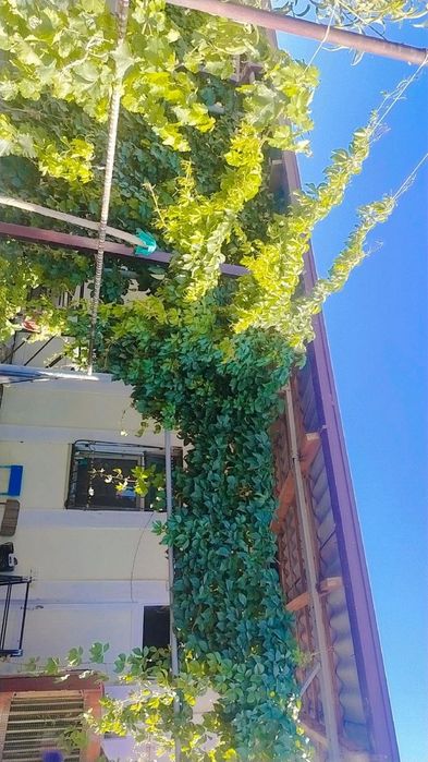 Karmana Narpay sentrda 2sotix 3xonali kottej sotiladi