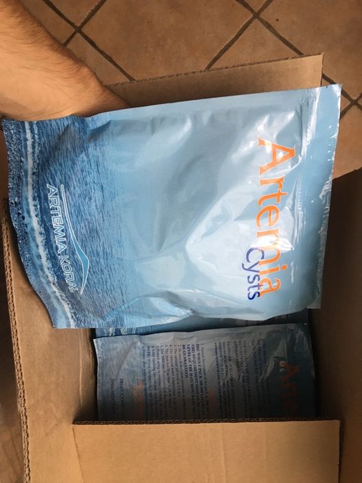 Oua de Artemia umeda si koral -incubare hrana pesti exotici de acvariu