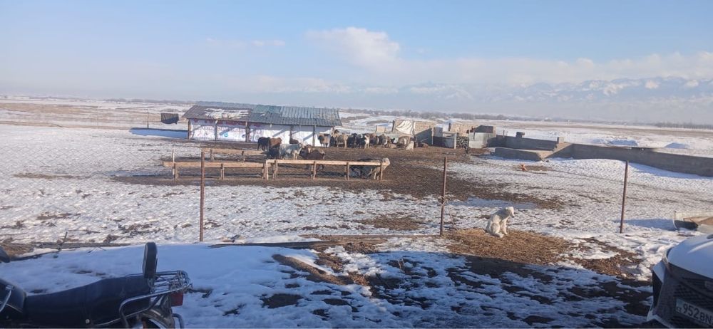 Земля Сауыншы 2 га КХ……….