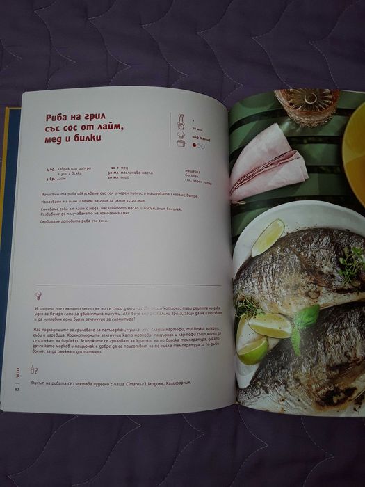 Книга на Манчев и Шишков