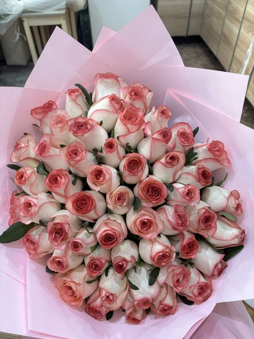 Красивые голландские розы
