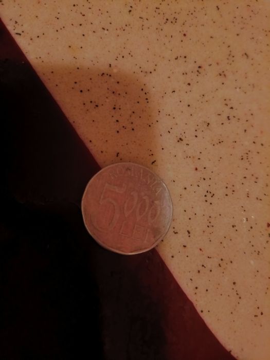 Moneda 5000lei 2002