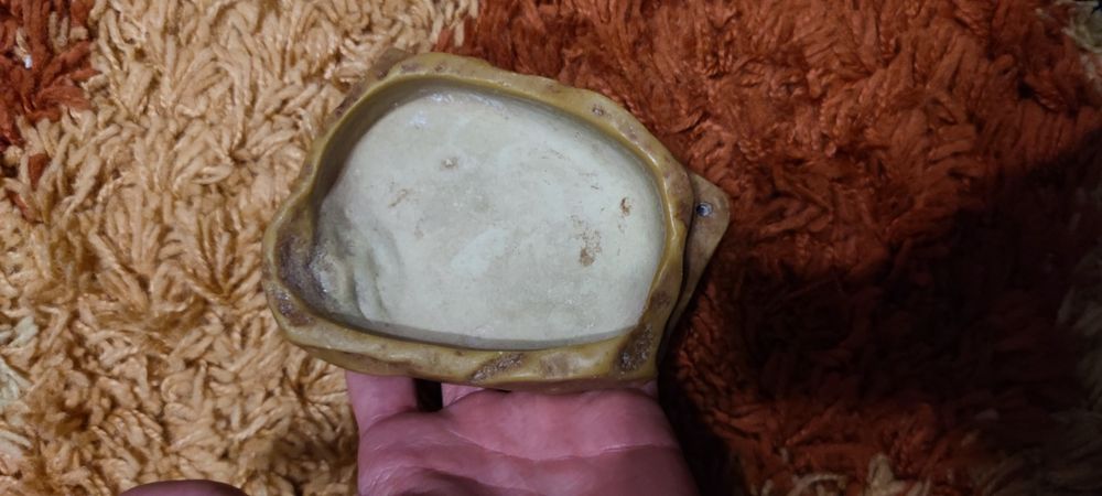 Vas apa / mancare terariu / reptile exo terra