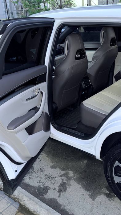 Other Song Pro DM-i Champion 2024 — 6