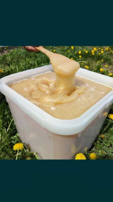 Мед разных видов