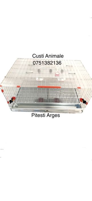 Maternitate puișori