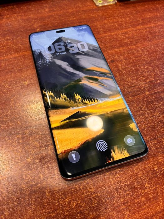 HONOR 100 PRO/256