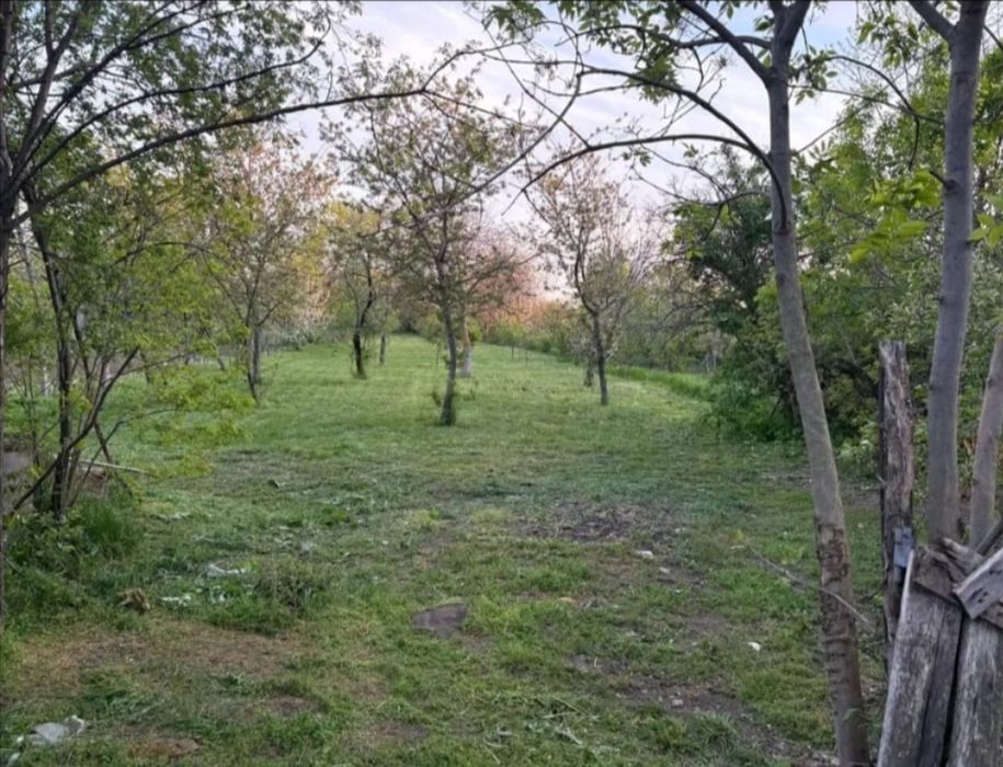 Casa de vânzare Valea Călugărească