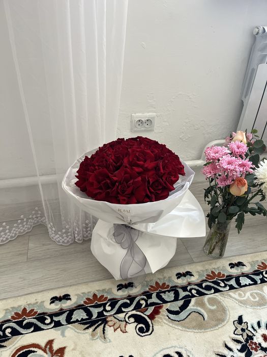 свежий бугун келген