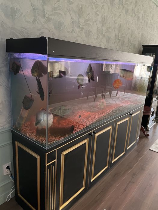Продаётся Аквариум 1000л