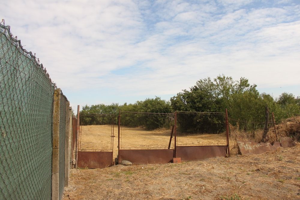 Casa cu teren in Izvin