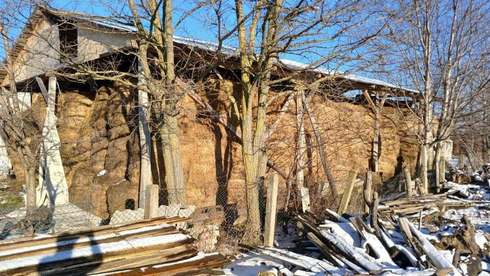 Baloti lucerna Producție 2025