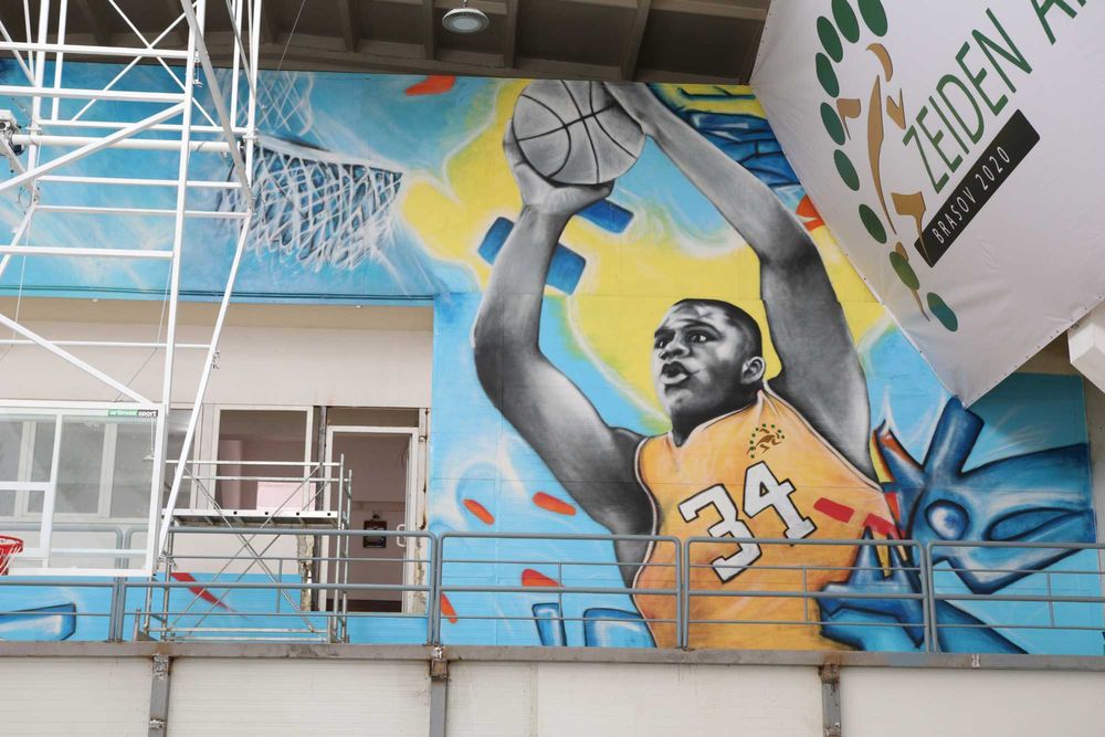 Pictura pe Pereti interior/exterior