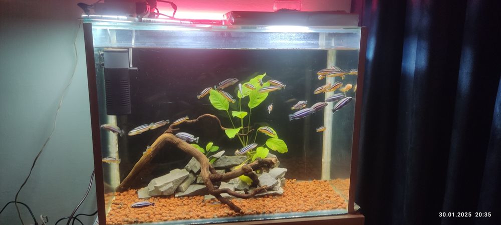 Продам аквариум на 130 литров