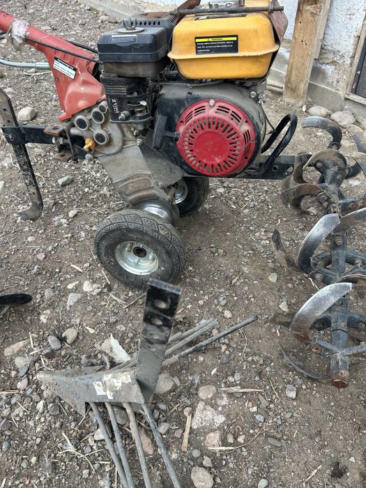 Култиватор сатамын