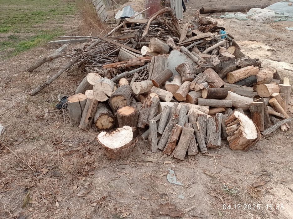 O'tin sotiladi   . kesilgan tayor