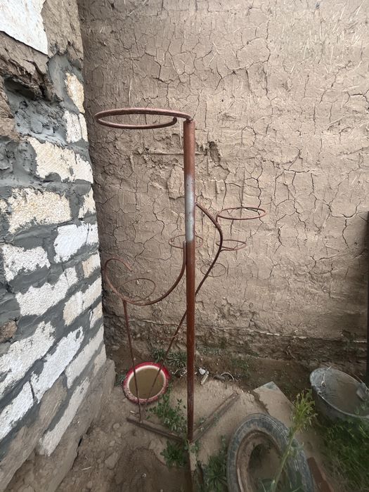 Жағдай жақсы шоптары кетпеген