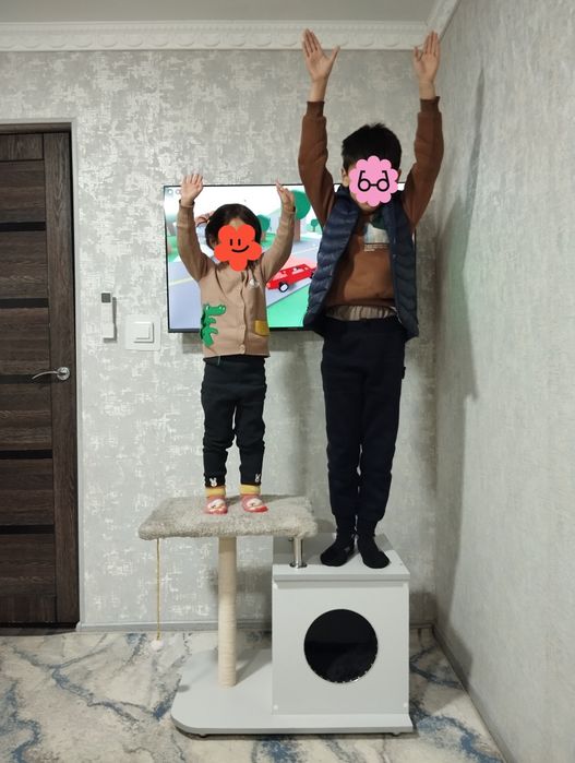 Mushuk uchun chiroyli uy.  Прекрасный домик для кошки.