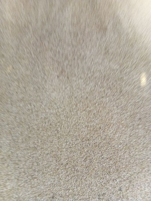 Ячмень на семена