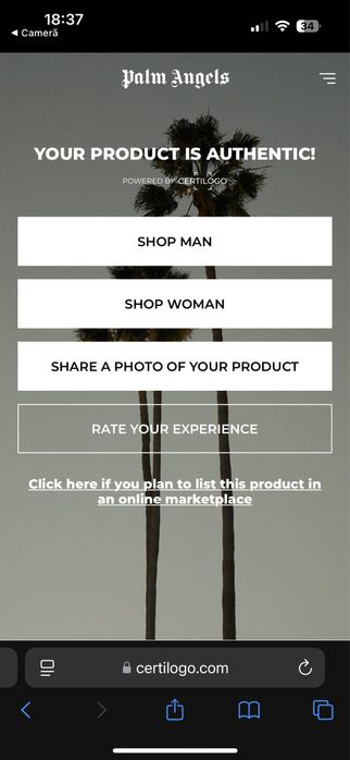 Bluza Palm Angels legit