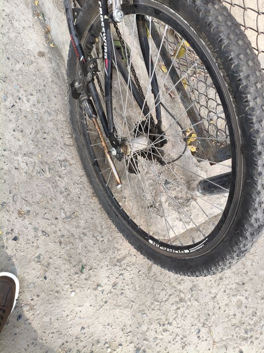 Velosiped - har qanday sharoitga chidamli