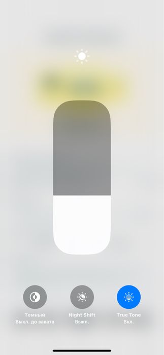 iPhone XS MAX  256 GB 75%