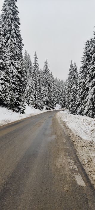 Апартамент за гости Милена