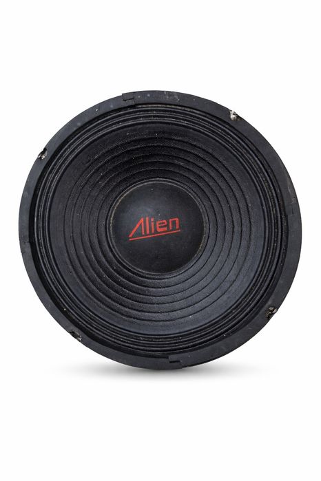 Difuzor Woofer Profesional Alien AN-2610-8, 10 inch, 8 Ohm - NOU