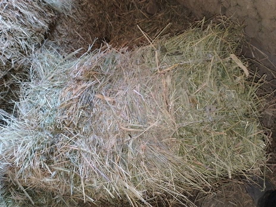 Беда пресс бор. 60 та. 1-3 уримлар.