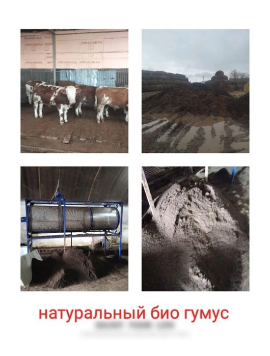 Продаем перегной навоз с доставкой