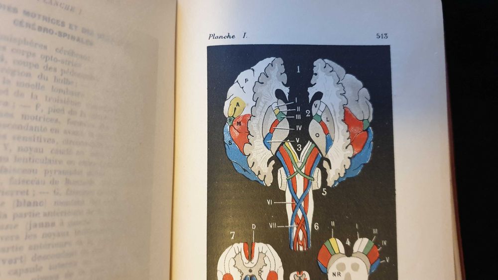 Carti vechi medicina - Manual de Patologie interna - 4 volume