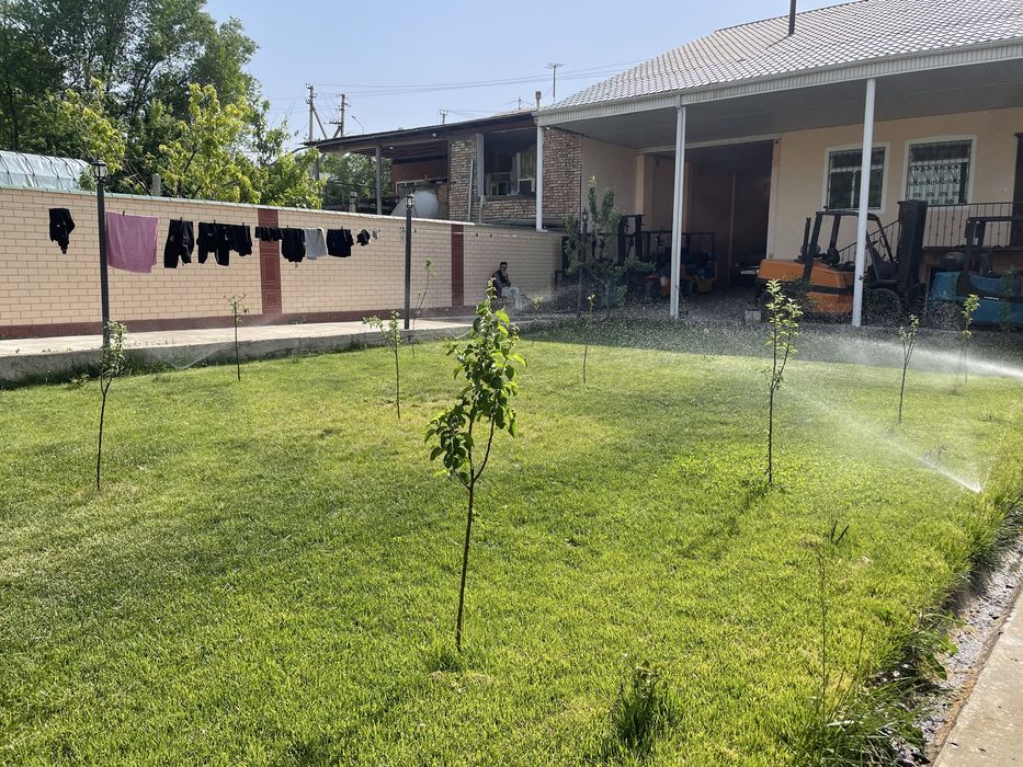 Газон,полив,автополив