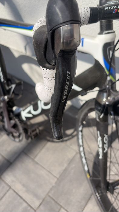 Cursiera carbon.