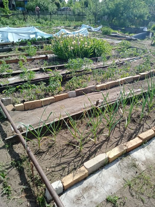 Продам дачу в СО Автомобилист