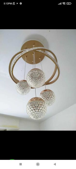 Елегантен полюлей